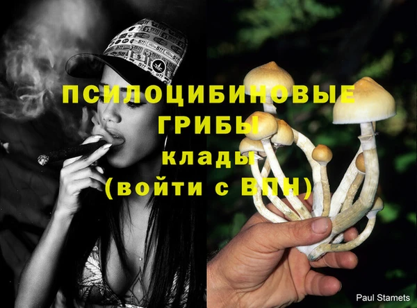 МДМА Алексеевка