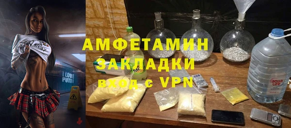 ПСИЛОЦИБИНОВЫЕ ГРИБЫ Алзамай