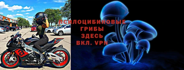 ПСИЛОЦИБИНОВЫЕ ГРИБЫ Алзамай